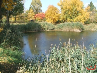 A horgásztó ősszel
