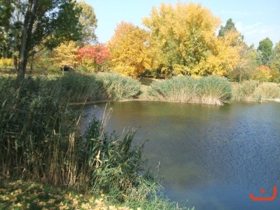 A horgásztó ősszel